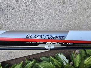 Focus Black Forest (9 фото из 10)