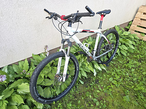 Focus Black Forest (5 фото из 10)
