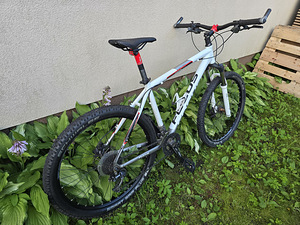 Focus Black Forest (3 фото из 10)