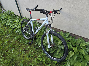 Focus Black Forest (2 фото из 10)