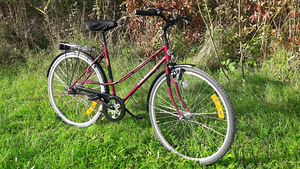 NORRA HOOLDATUD JALGRATAS "DBS CRUISER" (1 foto / 2)