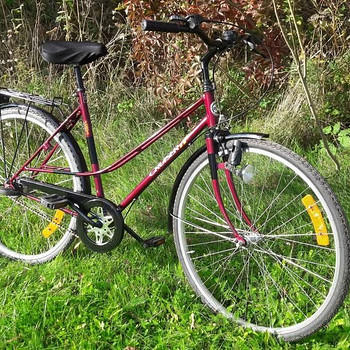 NORRA HOOLDATUD JALGRATAS "DBS CRUISER"