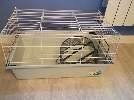 Puur