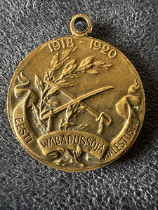 Медаль Эстонии «Kodu kaitseks» 1918–1920 (2 фото из 2)