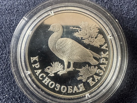 Hõbemünt 1 rubla 1994 „Punakael-lagle“