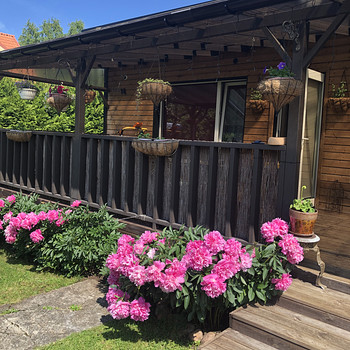 Muuga tee, Maardu, Harjumaa