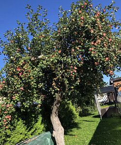 Muuga tee, Maardu, Harjumaa (2 foto / 2)