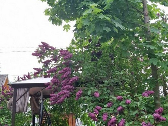 Purje tn 16, Vana-Pärnu, Pärnu, Pärnumaa