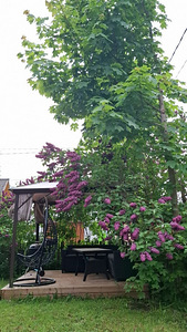Purje tn 16, Vana-Pärnu, Pärnu, Pärnumaa (1 фото из 10)