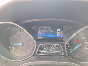 Ford Focus (13 фото из 15)