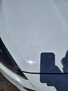 Ford Focus (14 фото из 15)