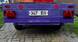 Haagis (omavalmistatud) (4 foto / 10)