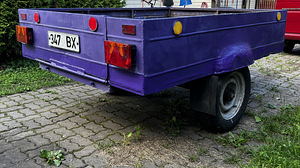 Haagis (omavalmistatud) (5 foto / 10)