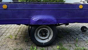 Haagis (omavalmistatud) (6 foto / 10)