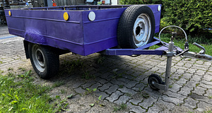 Haagis (omavalmistatud) (7 foto / 10)