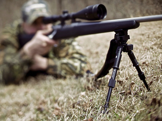 Сошки Vanguard, Caldwell 13-27