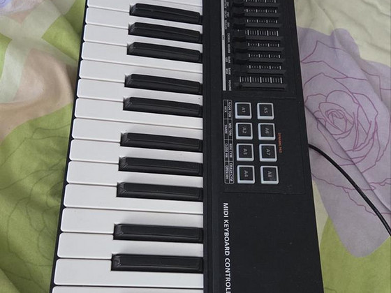 Roland A-500PRO MIDI keyboard controller