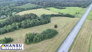 Ojakivi, Partsaare, Anija vald, Harjumaa (9 foto / 16)