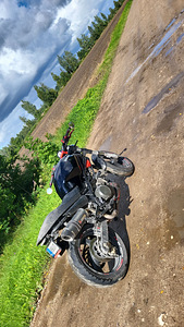 M/V Ducati monster 600 1999 (7 foto / 8)