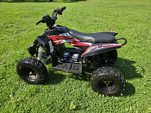 Elektri ATV 1000w (2 foto / 4)