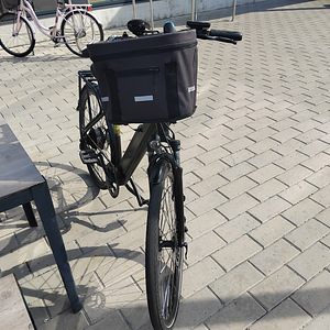 Eco Bike (5 foto / 8)
