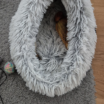 Место для лежания кошки.