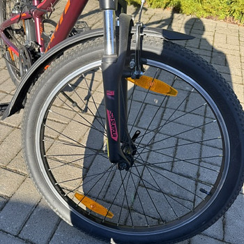 Scott Scale JR24