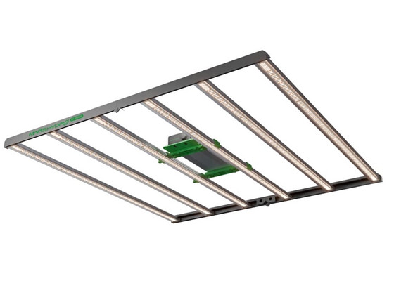Led taimelamp