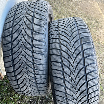 Шины 225/50 R18 Lamellrehvid Goodyear