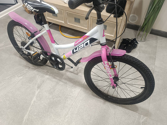 Aurelia sport 420