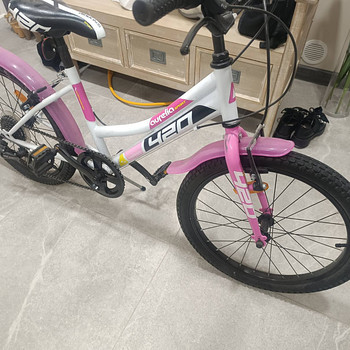 Aurelia sport 420