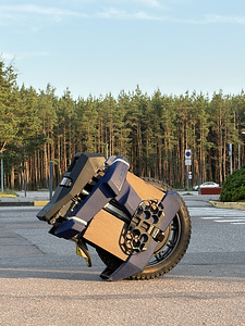 BEGODE EX30 Моноколесо (4 фото из 7)