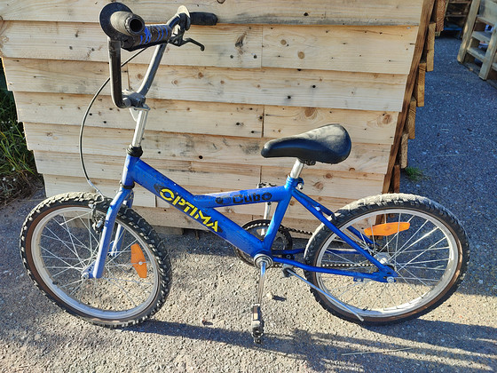 Jalgratas Optima Cub