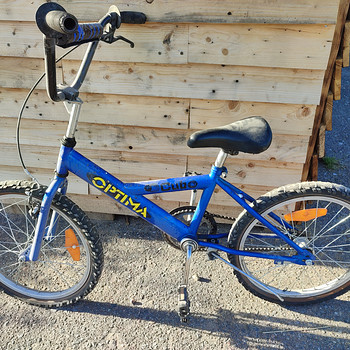 Jalgratas Optima Cub