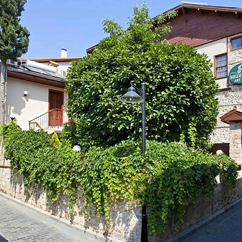 MEDITERRA ART HOTEL