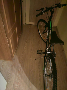 Linnaratas Bottari Milano 26", must/roheline (3 foto / 3)
