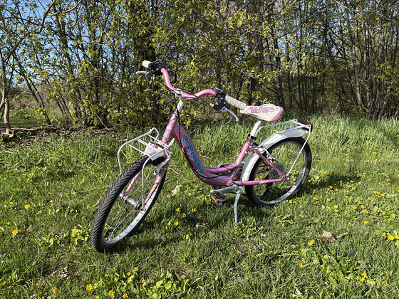 Jalgrattas BOTTECCHIA lilla-valge