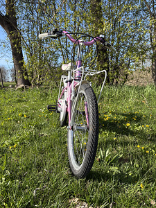 Jalgrattas BOTTECCHIA lilla-valge (4 foto / 5)