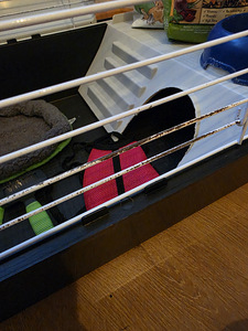 Ferplast Casita 80 puur koos tarvikutega (3 foto / 7)