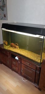 Akvaarium 200l (1 foto / 1)
