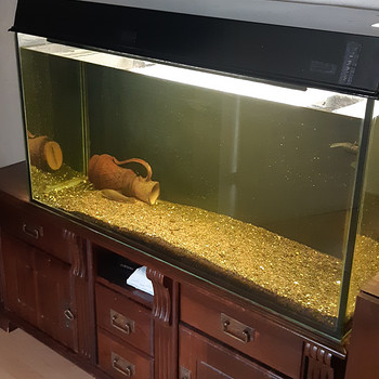 Akvaarium 200l