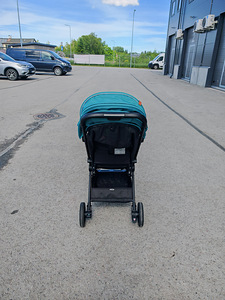 Lastekäru lionelo. (6 foto / 10)