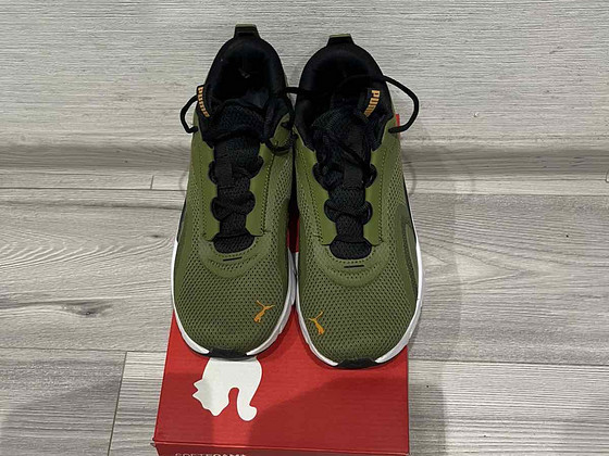 Puma tossud