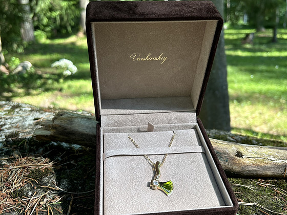 Уникальное мужское колье Champion с подвеской из 18K золота