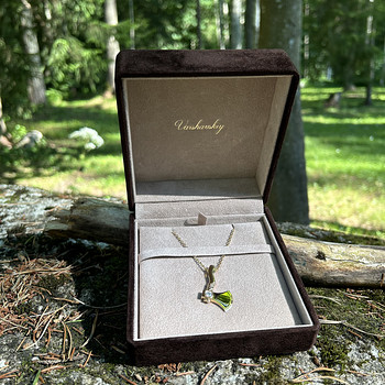 Уникальное мужское колье Champion с подвеской из 18K золота