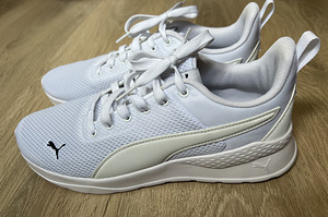 Puma tossud (2 foto / 4)