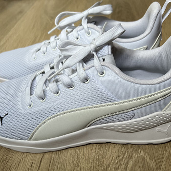 Puma tossud