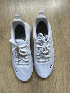 Puma tossud (3 foto / 4)