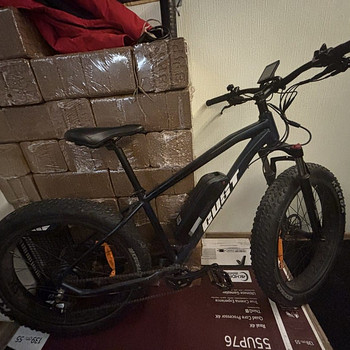 Gust E-evoque 26 cll E-Bike. 250 W, elektrijalgratas