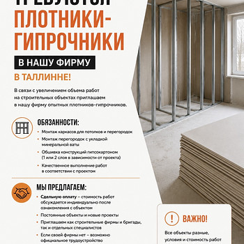 Плотник-гипрочник